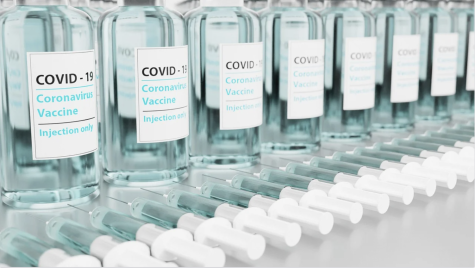 After months of waiting and anticipation, a COVID-19 vaccine is being released to the public in groups based on priority. 